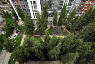 Green Budapest Saburtalo - 1