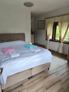 Villa Golden Coin - Zlatnik - 9