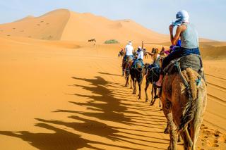Dune Echo Desert Camp - 4