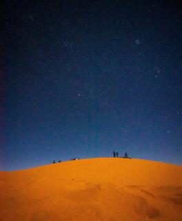 Dune Echo Desert Camp - 1