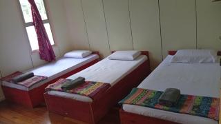Mahua Lodge and Campsite - 8