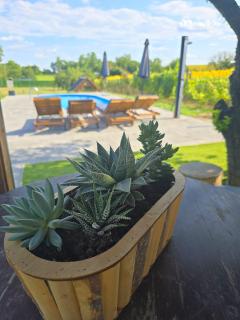Private Wellness Estate with Pool, Tennis & BBQ by Destination GREEN Croatia - 2