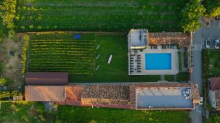 Giorgi Ushikishvilis Chateau-Marani - 5