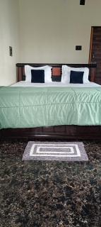 Sadguru Homestay Hampi - 2