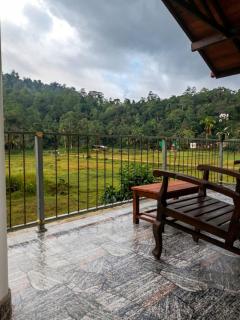 Forest & Fields Sinharaja - 2