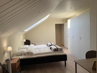 Elm Guesthouse - 1