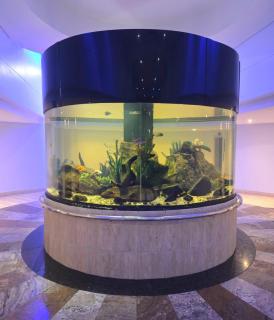 The Pearls of Umhlanga, or Oceans Apts - Durban - 7