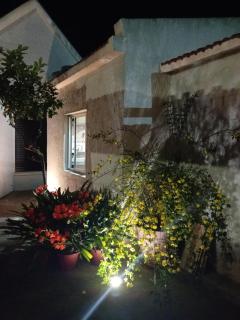 Apartamento en el centro de la ciudad - 2