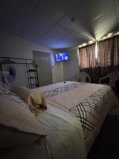 Santa Ana Hostal The ONE - 9