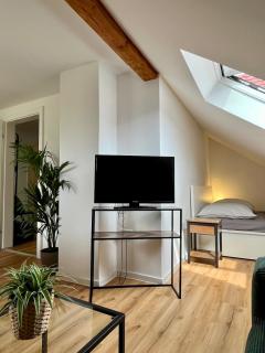 Lichtdurchflutetes City-Apartement in Bestlage - 5