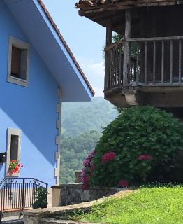 La Jontina - 6