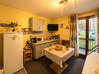 Joli studio - Balcon - proche station Auron - 0
