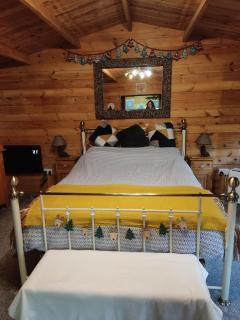 Luxury Woodland Cabin Retreat near the New Forest - 5