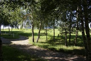 300 m Private Villa near Vilnius - 7