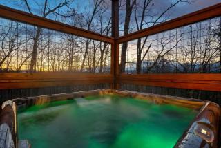 Cabin retreat with hot tub, pool table & arcade - 7