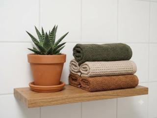 1 BR, central, Prater, Schwedenplatz - 2
