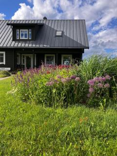 Rural Hideaway near Birštonas, Peaceful Countryside Stay - 6
