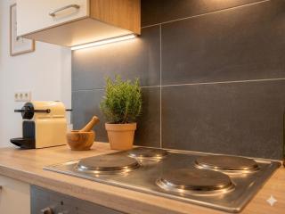 1BR, central, Prater, Schwedenplatz - 2