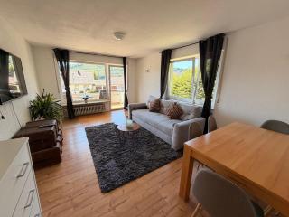 Ruhige Wohnung mit Pano Blick - 8