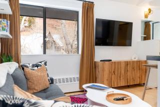 Vibrant Central Telluride Studio w Hot Tub - 6
