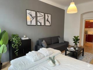Studio, central, Prater, Schwedenplatz - 9
