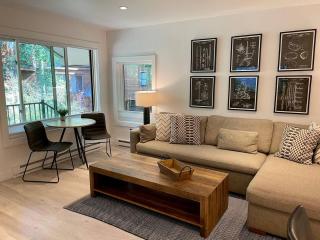 Downtown Telluride Riverside Condo - Boomerang - 8