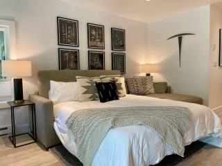 Downtown Telluride Riverside Condo - Boomerang - 7