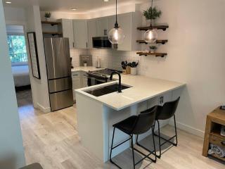 Downtown Telluride Riverside Condo - Boomerang - 1