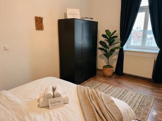 1BR, central, Prater, Schwedenplatz - 8