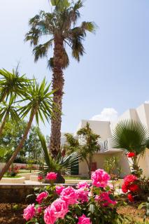 Georgioupolis Resort & Aqua Park - Georgioupoli - 3
