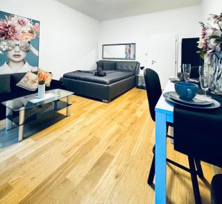 Modern studio for 3 near the Danube and Millennium City - 2