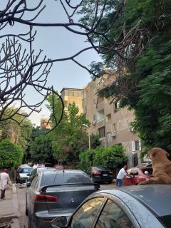 Private Room With garden view in Maadi - 6