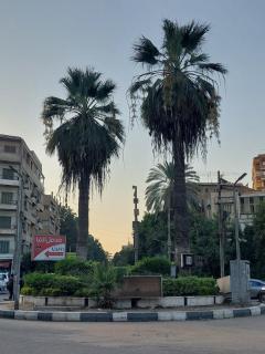Private Room With garden view in Maadi - 4