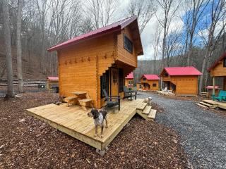Virginia Backcountry Cabins - 1