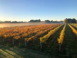 Le Grá Vineyard and Winery - Masterton - 1