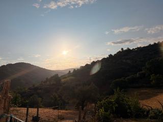 O Cantinho do Forno - 8