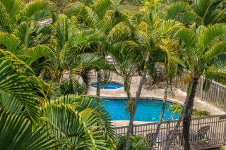 Maui Banyan T105 - 8