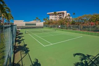 Maui Banyan T105 - 4