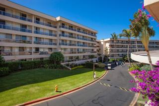 Maui Banyan T105 - 1