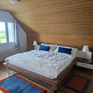 Elegant with sauna, pool and mountain view - 3