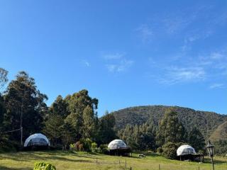 Glamping Store - 0