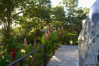 Morpho Glamping - 8