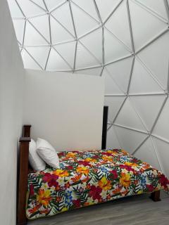 Rio Celeste Jungle Glamping -  - 4