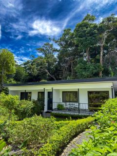 Monteverde Magic Mountain Lodge - 0