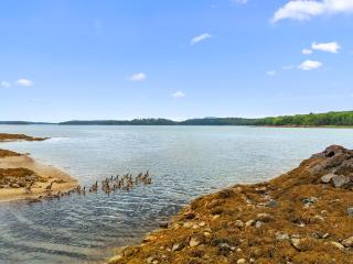 Maggie May, Salt Farm, Romantic & Rural, perfect for two near Acadia/Bar Harbor - 0