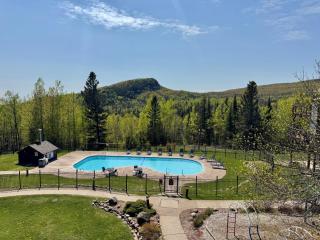 Lutsen Ski-In/Ski-Out | Moose Mtn Views | Hot Tub - 8