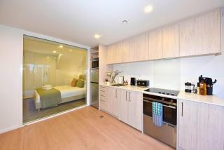 Brand New CBD Apartment with Spa, Sauna, and Plunge - 4
