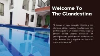 La Clandestina - 1