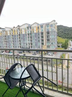 Rumasweetmy Cameron Highland 2 - 2