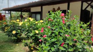 Finca la Carola - 1
